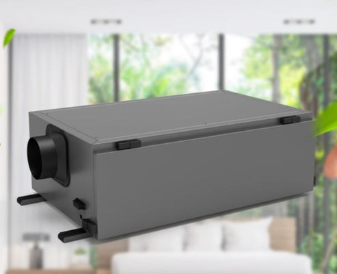 Un bon prix. Puissant déshumidificateur 480w pour la prévention des moisissures et le contrôle de l'humidité en ligne